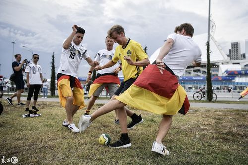 德国vs瑞典德国球迷